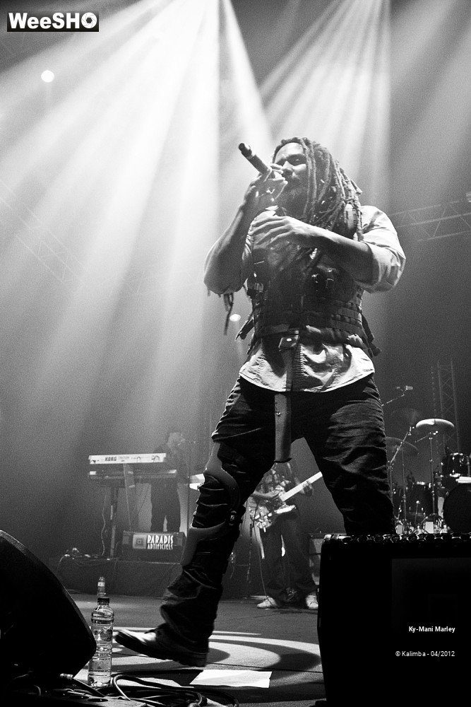 29/34 photos du spectacle Ky-Mani Marley