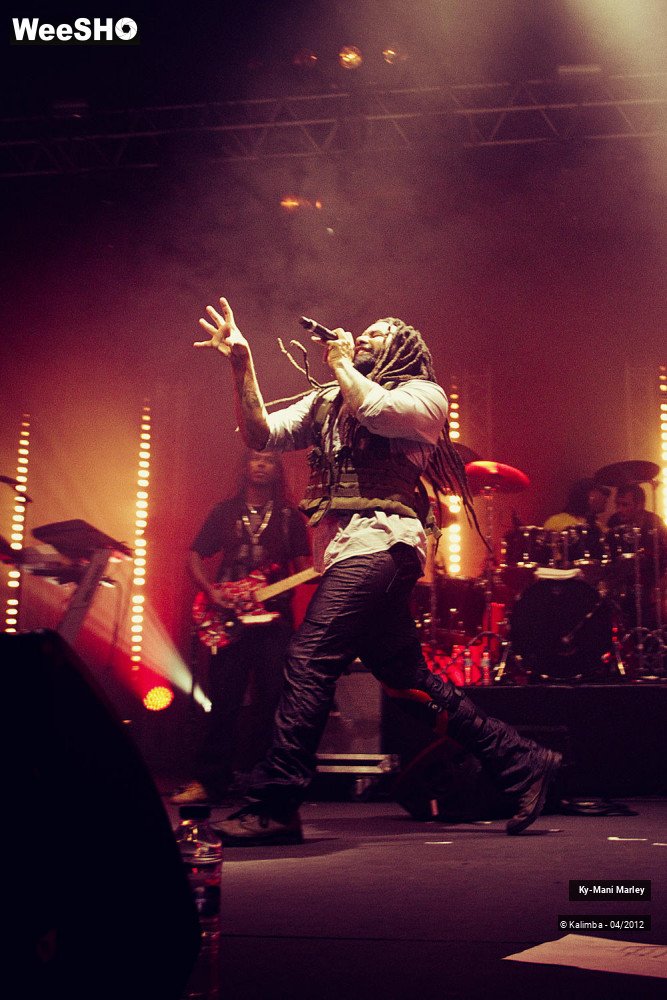 30/34 photos du spectacle Ky-Mani Marley