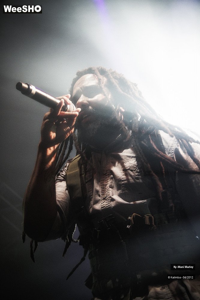 31/34 photos du spectacle Ky-Mani Marley