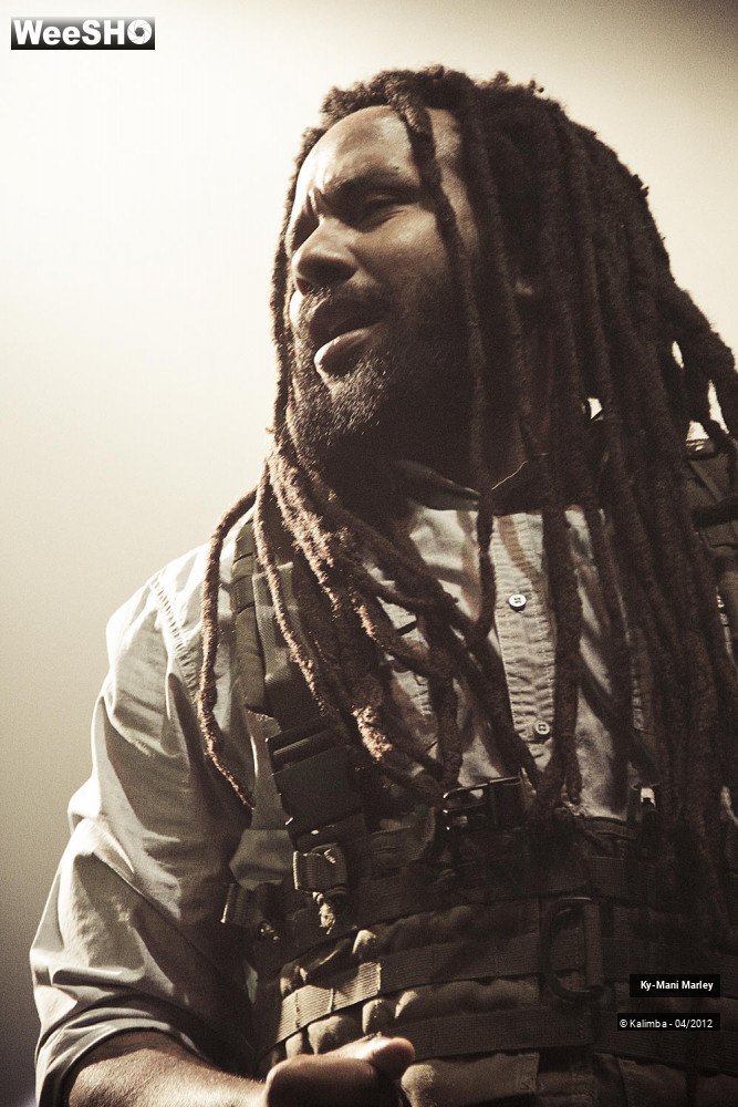 33/34 photos du spectacle Ky-Mani Marley