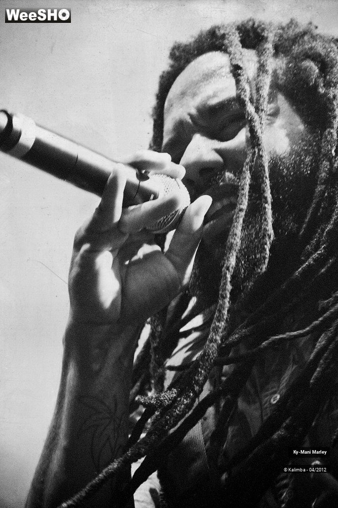 34/34 photos du spectacle Ky-Mani Marley