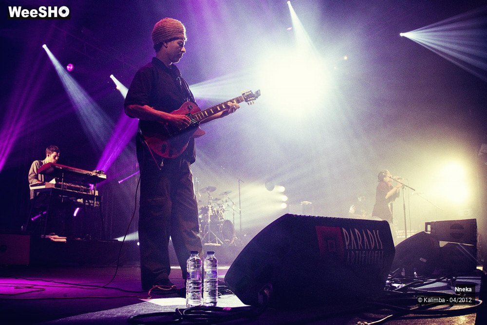 3/24 photos du spectacle Nneka 