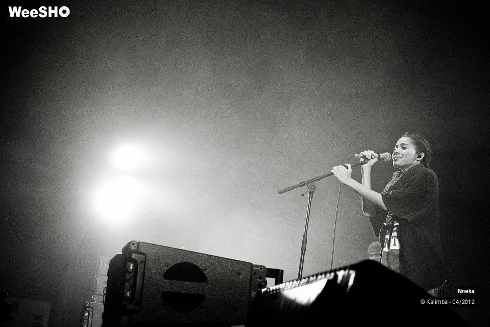 4/24 photos du spectacle Nneka 