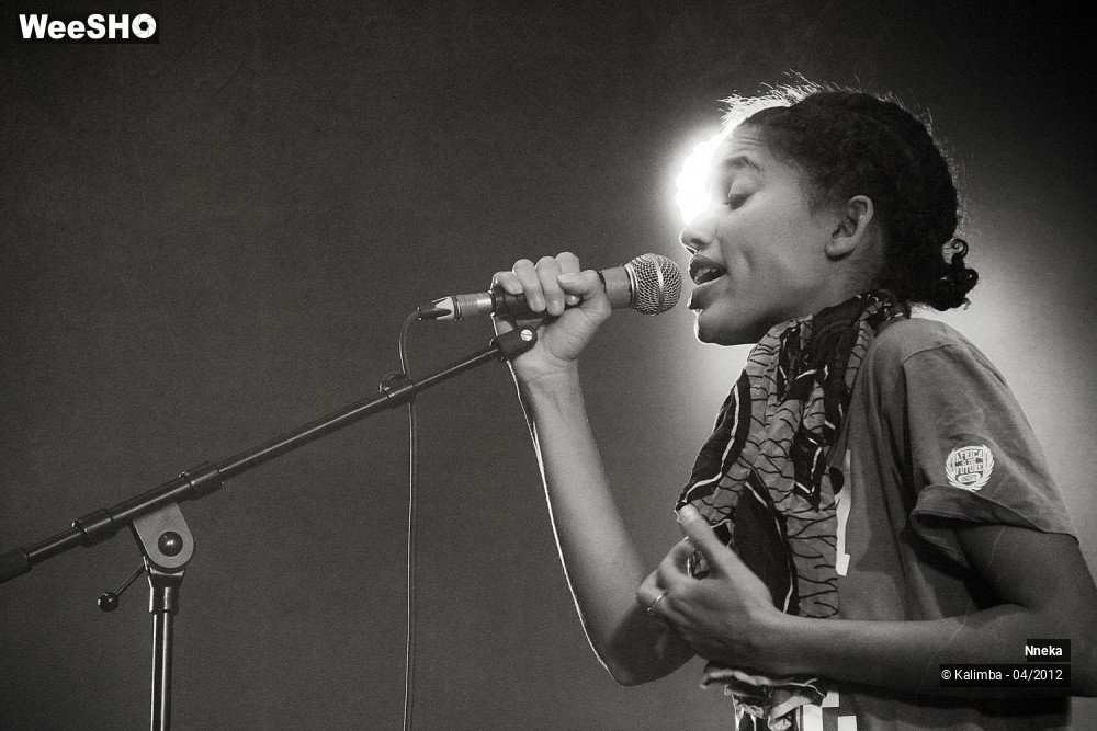 16/24 photos du spectacle Nneka 