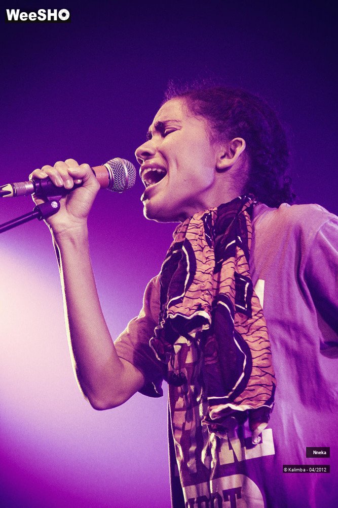 19/24 photos du spectacle Nneka 