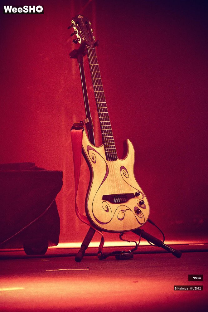 24/24 photos du spectacle Nneka 