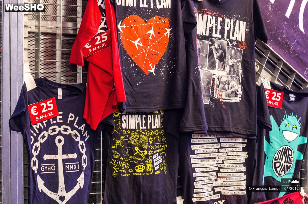 15/37 photos du spectacle Simple Plan Ambiance