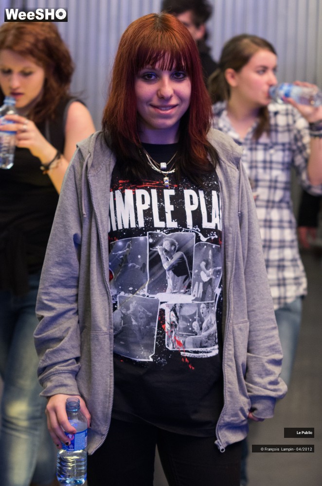 16/37 photos du spectacle Simple Plan Ambiance