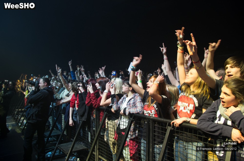 21/37 photos du spectacle Simple Plan Ambiance