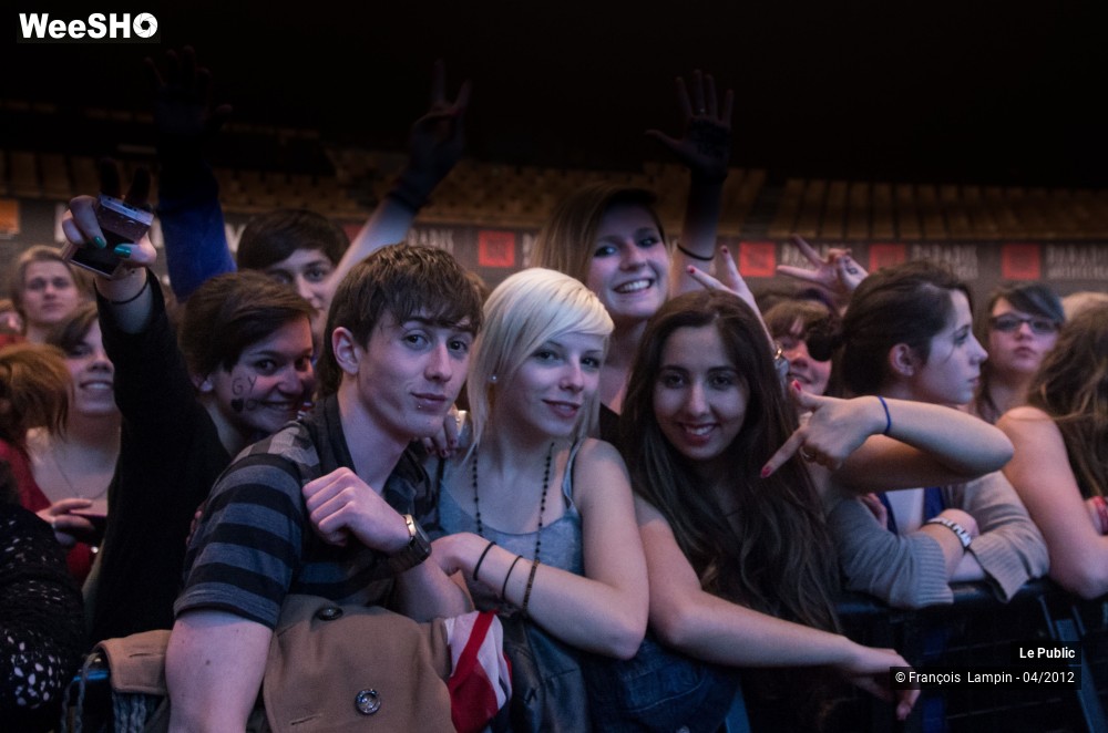 23/37 photos du spectacle Simple Plan Ambiance