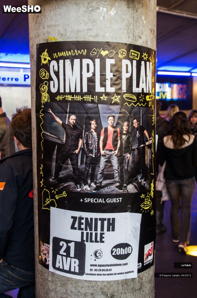 35/37 photos du spectacle Simple Plan Ambiance