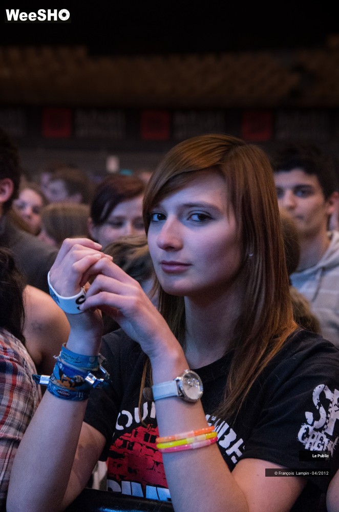 37/37 photos du spectacle Simple Plan Ambiance