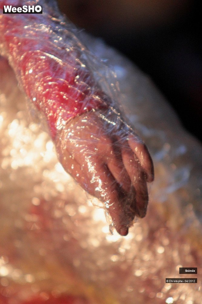 29/40 photos du spectacle Les scotcheurs éclairés