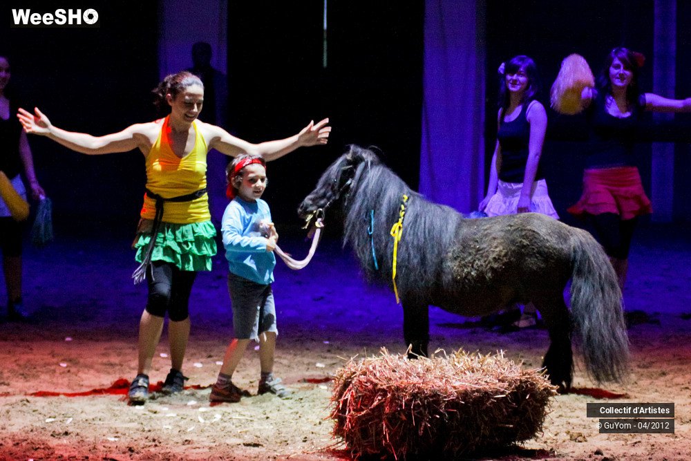 3/39 photos du spectacle Spectacle Equestre Juniors