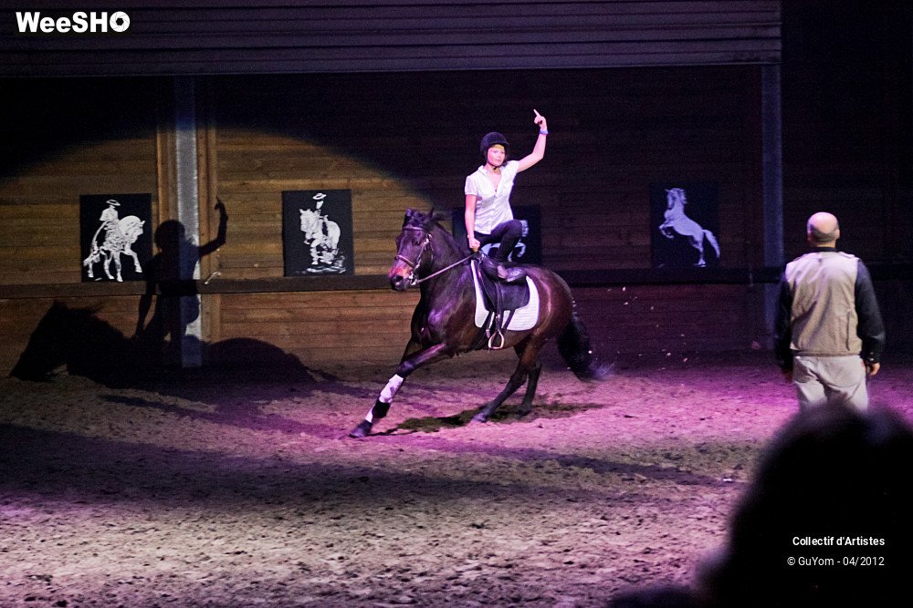 9/39 photos du spectacle Spectacle Equestre Juniors