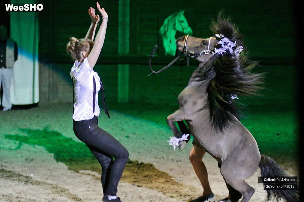 26/39 photos du spectacle Spectacle Equestre Juniors