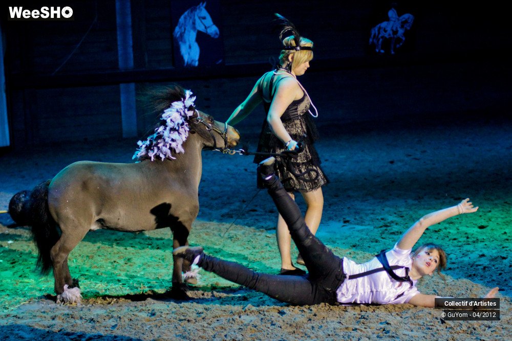 27/39 photos du spectacle Spectacle Equestre Juniors