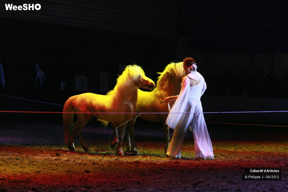 10/38 photos du spectacle Spectacle Equestre #1