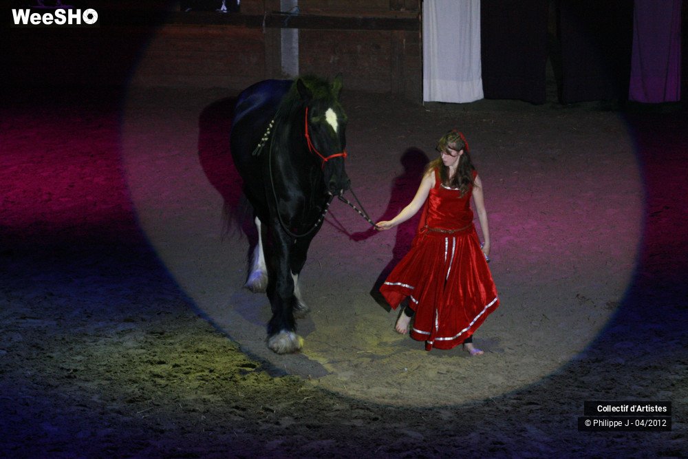 13/38 photos du spectacle Spectacle Equestre #1