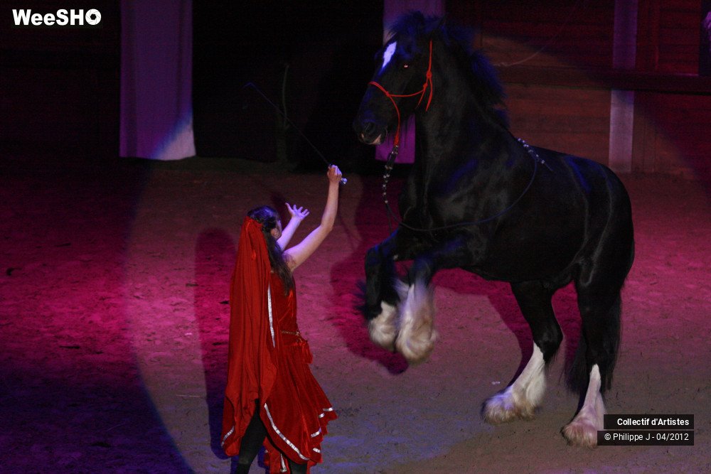 23/38 photos du spectacle Spectacle Equestre #1