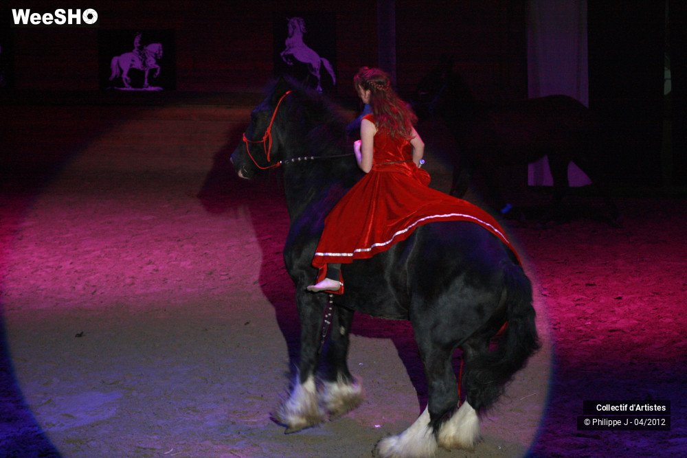 26/38 photos du spectacle Spectacle Equestre #1