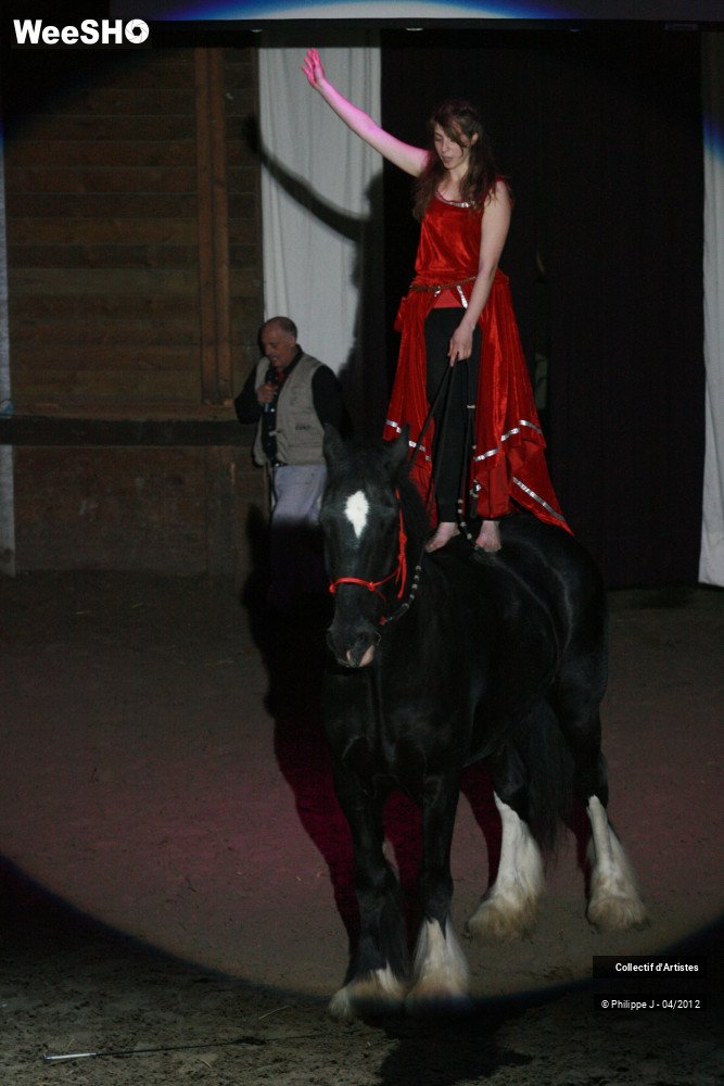 37/38 photos du spectacle Spectacle Equestre #1