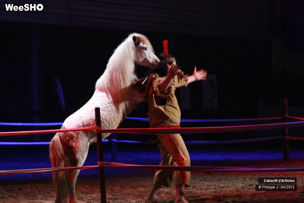 5/38 photos du spectacle Spectacle Equestre #2