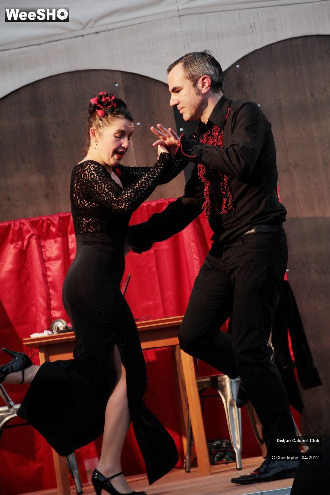 17/36 photos du spectacle Dintjan Cabaret Club