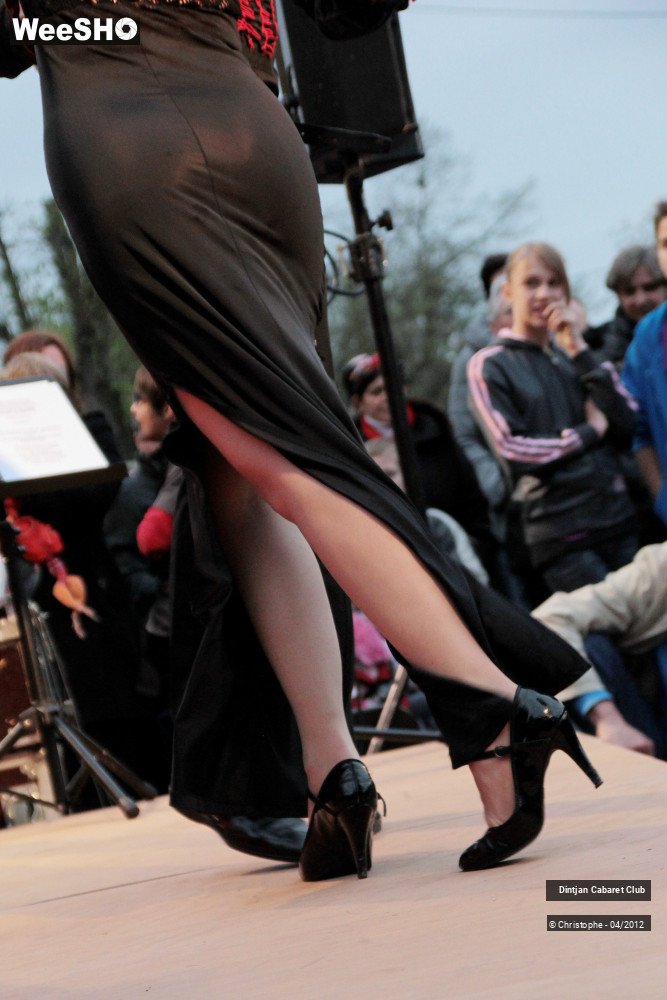 19/36 photos du spectacle Dintjan Cabaret Club