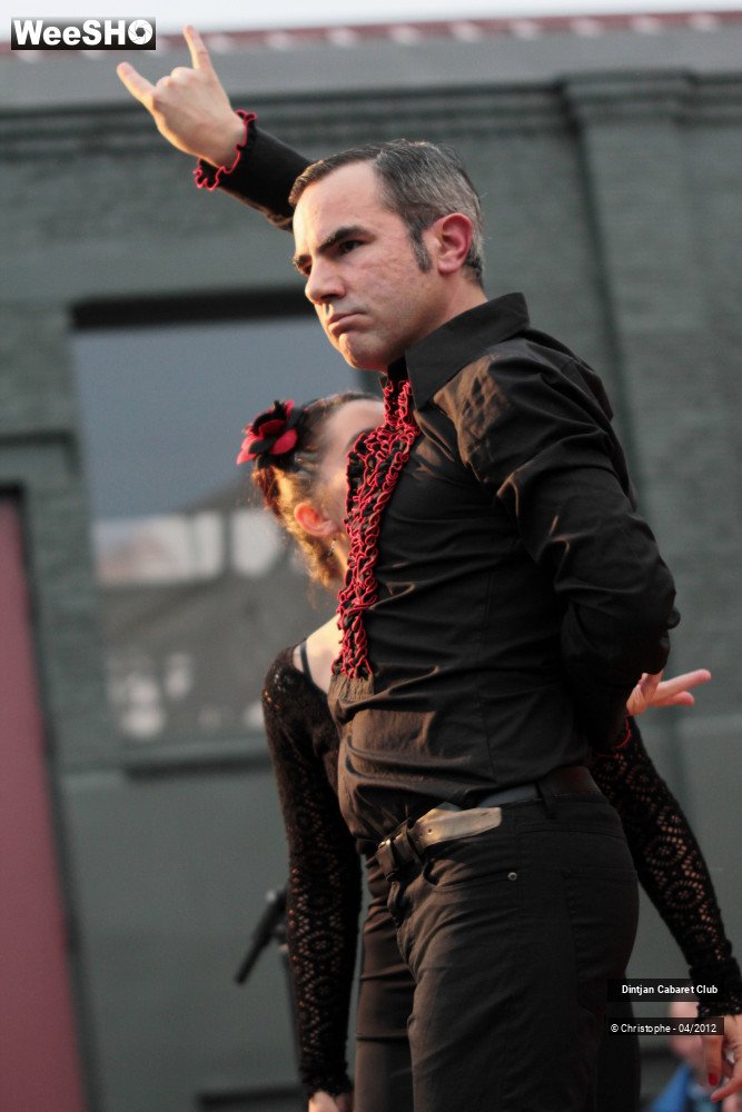 31/36 photos du spectacle Dintjan Cabaret Club