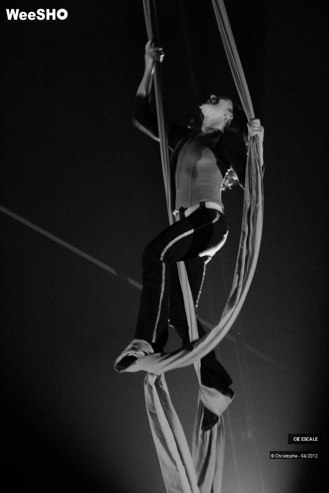 36/48 photos du spectacle Est ou Ouest - Proces d'intention