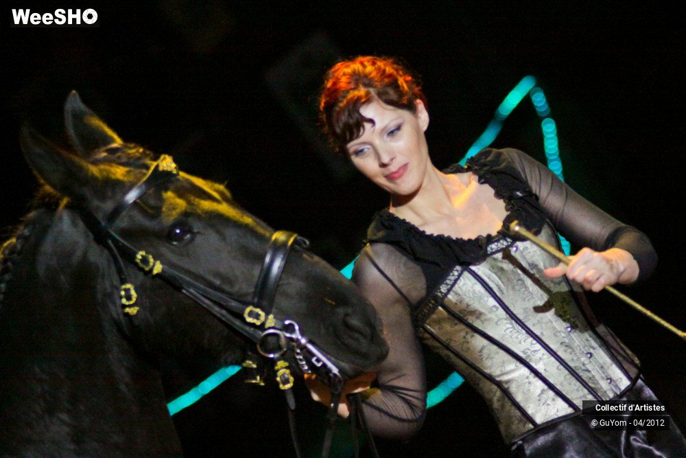 1/50 photos du spectacle Spectacle Equestre Seniors