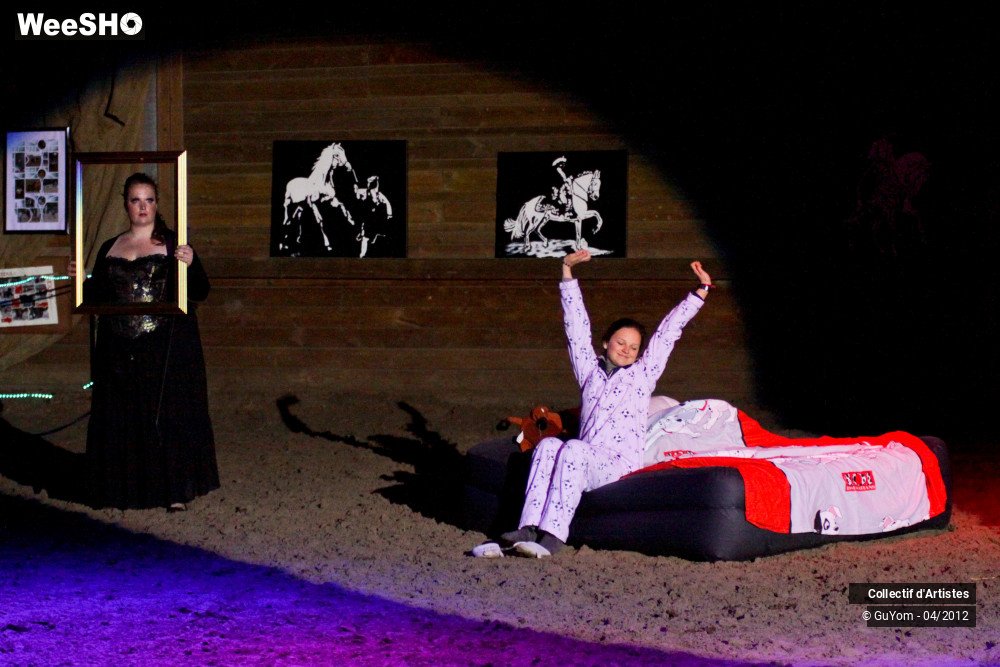 2/50 photos du spectacle Spectacle Equestre Seniors
