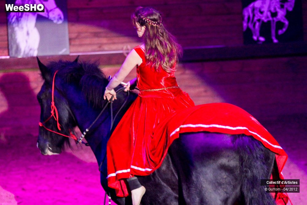 3/50 photos du spectacle Spectacle Equestre Seniors