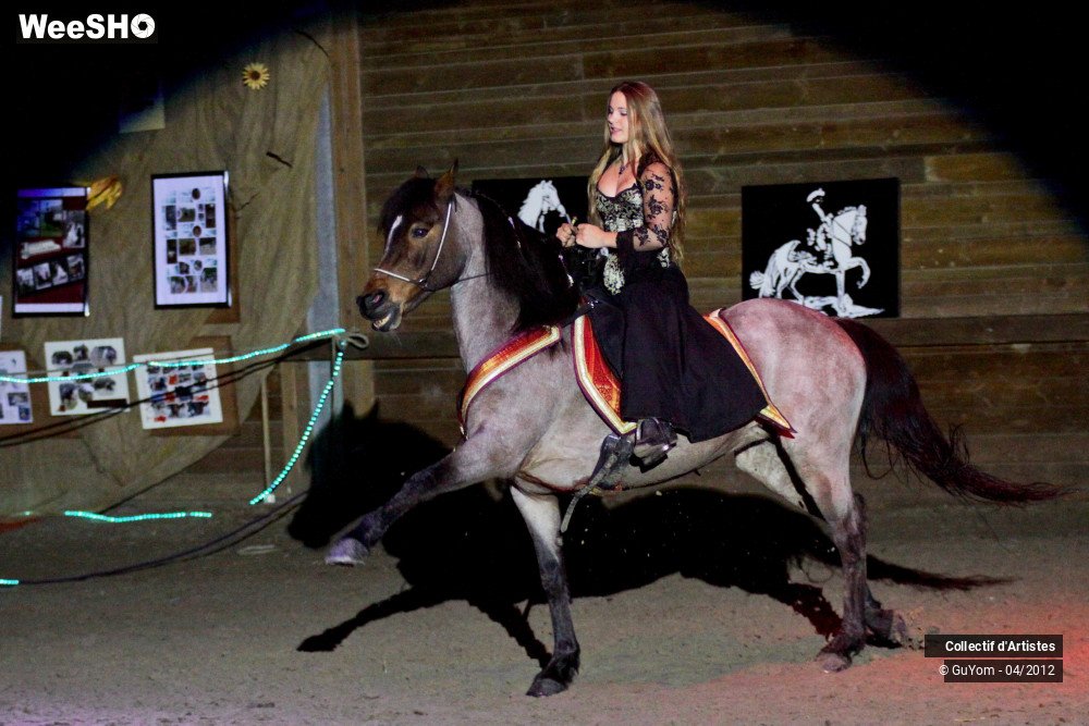 5/50 photos du spectacle Spectacle Equestre Seniors