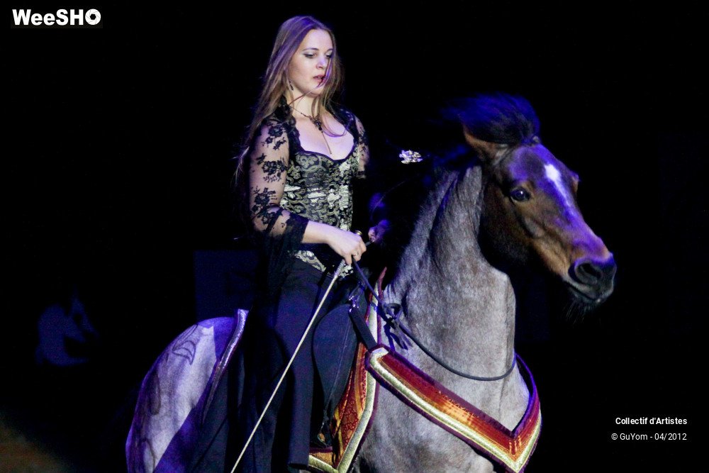 8/50 photos du spectacle Spectacle Equestre Seniors