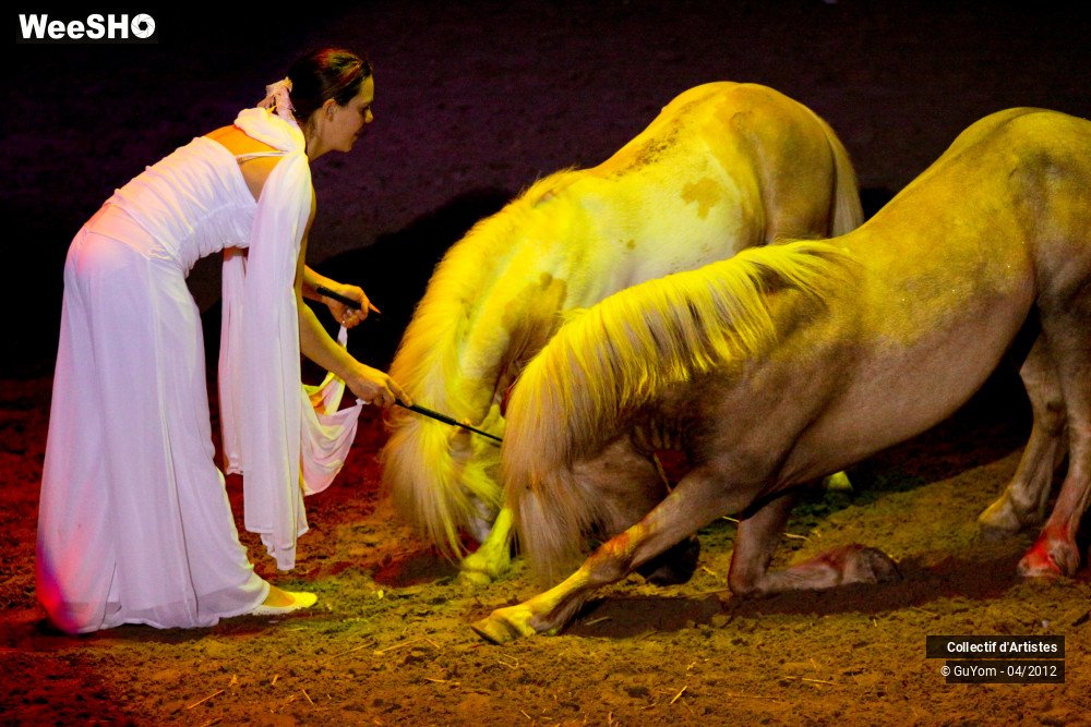 10/50 photos du spectacle Spectacle Equestre Seniors