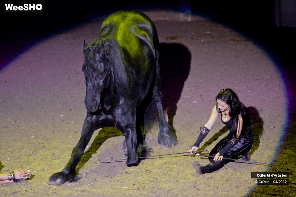 11/50 photos du spectacle Spectacle Equestre Seniors