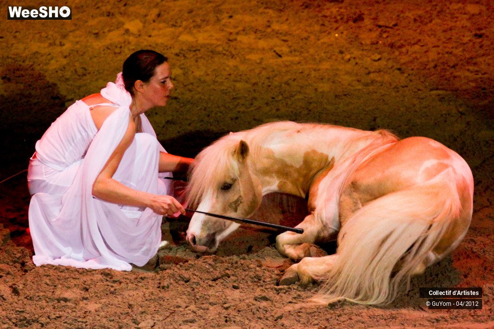 13/50 photos du spectacle Spectacle Equestre Seniors