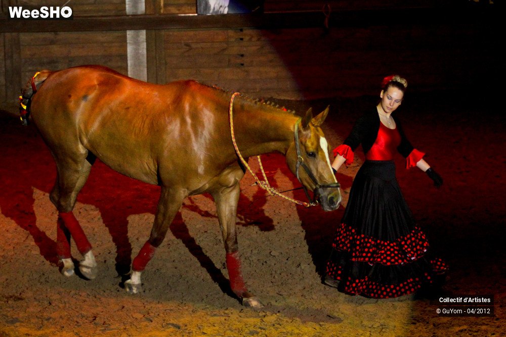 14/50 photos du spectacle Spectacle Equestre Seniors