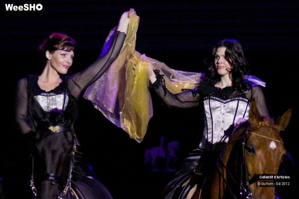 15/50 photos du spectacle Spectacle Equestre Seniors
