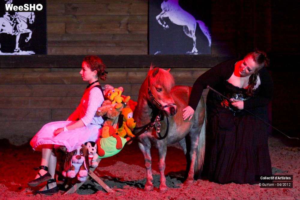 16/50 photos du spectacle Spectacle Equestre Seniors
