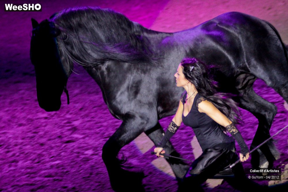 17/50 photos du spectacle Spectacle Equestre Seniors