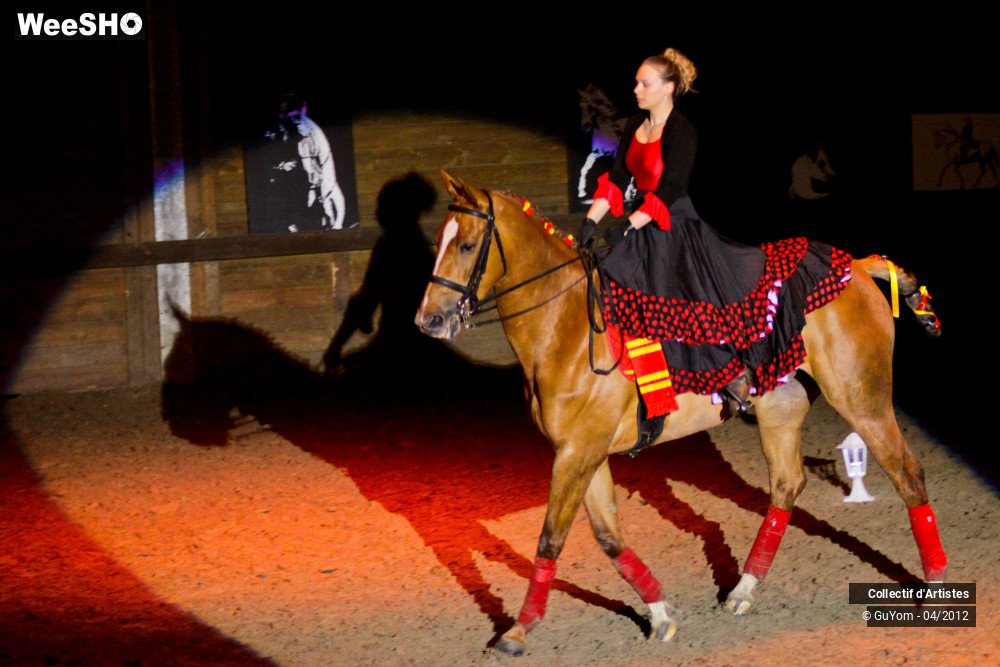 18/50 photos du spectacle Spectacle Equestre Seniors