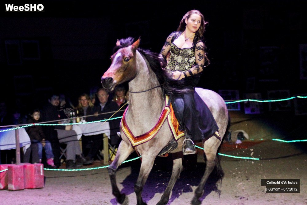 19/50 photos du spectacle Spectacle Equestre Seniors