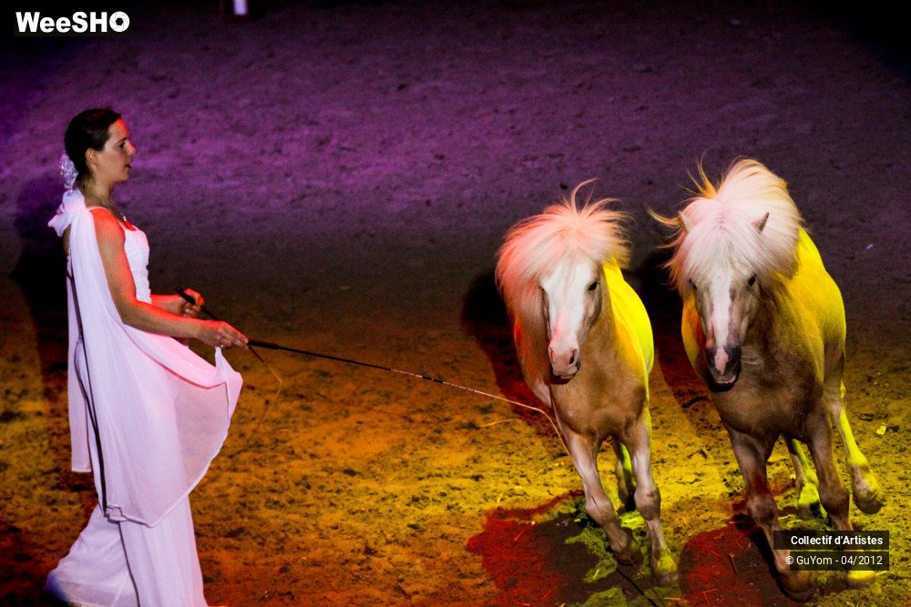 20/50 photos du spectacle Spectacle Equestre Seniors