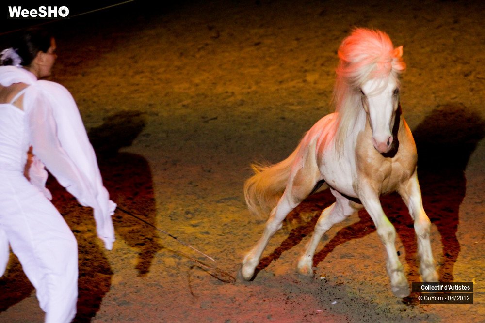 21/50 photos du spectacle Spectacle Equestre Seniors