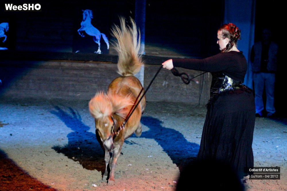 22/50 photos du spectacle Spectacle Equestre Seniors