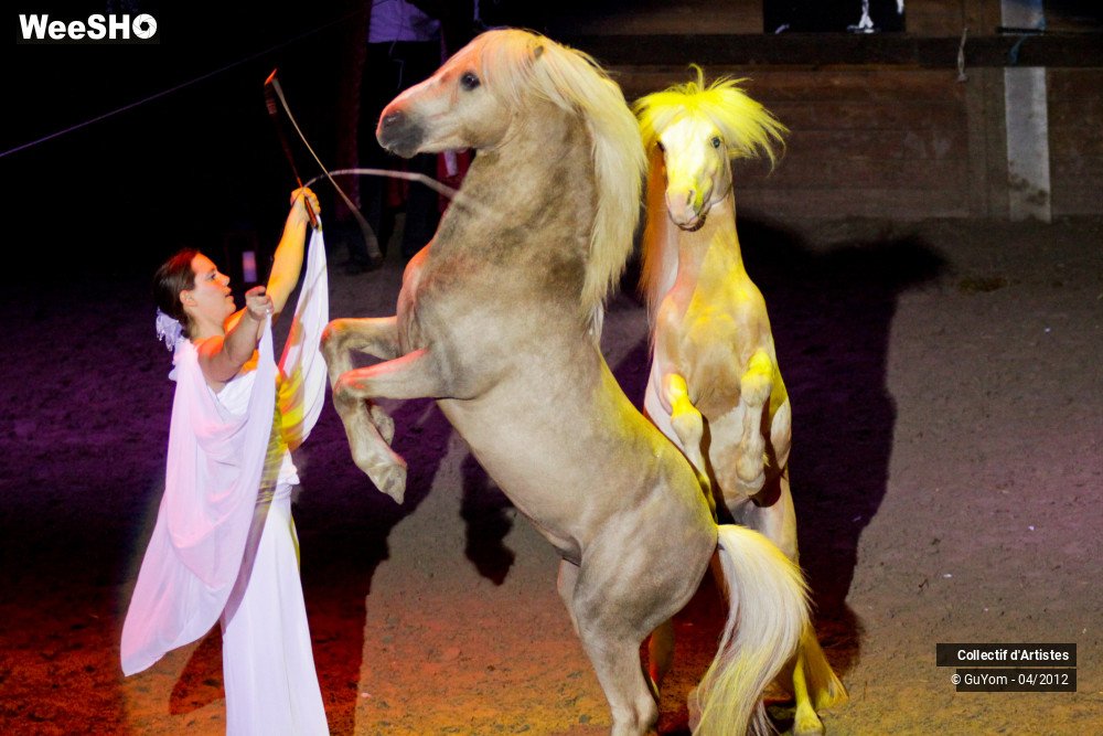 25/50 photos du spectacle Spectacle Equestre Seniors