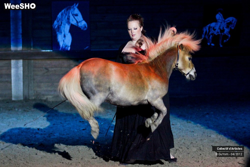 26/50 photos du spectacle Spectacle Equestre Seniors